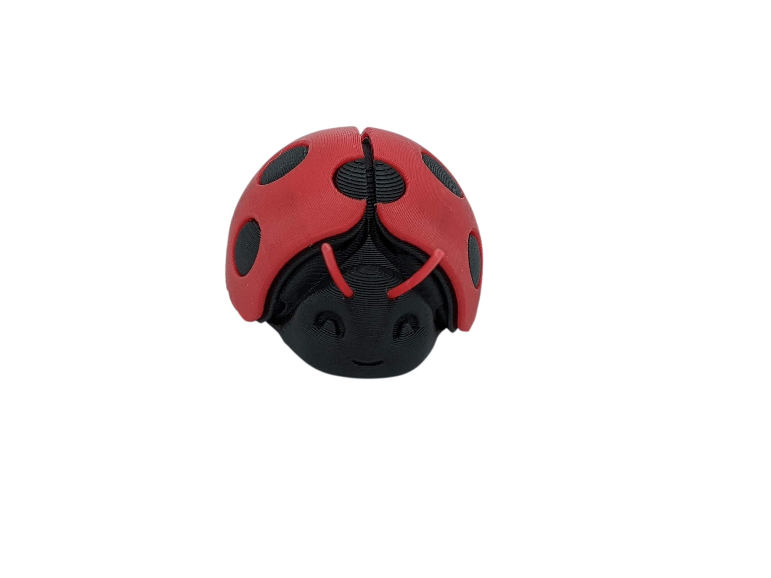 Lady Bug