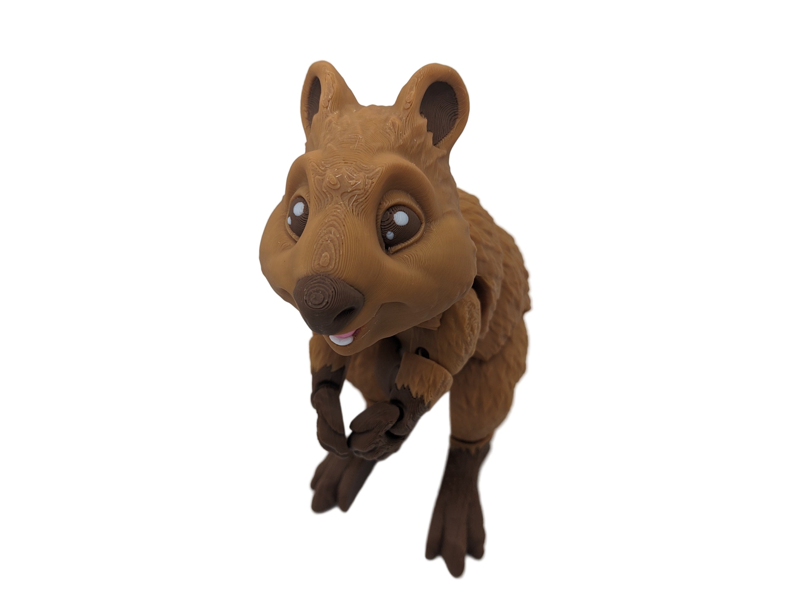 Articulated Quokka