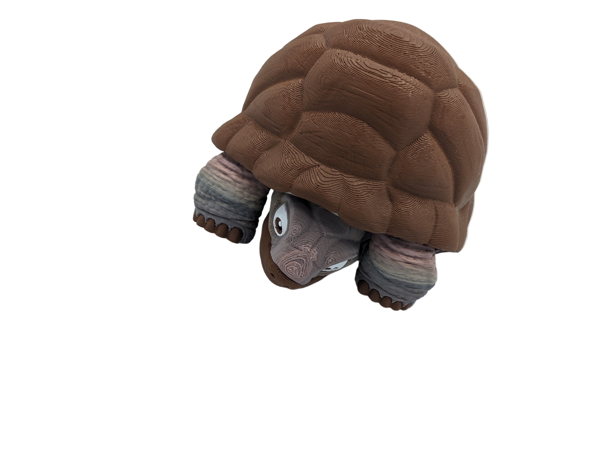 Articulated Tortoise