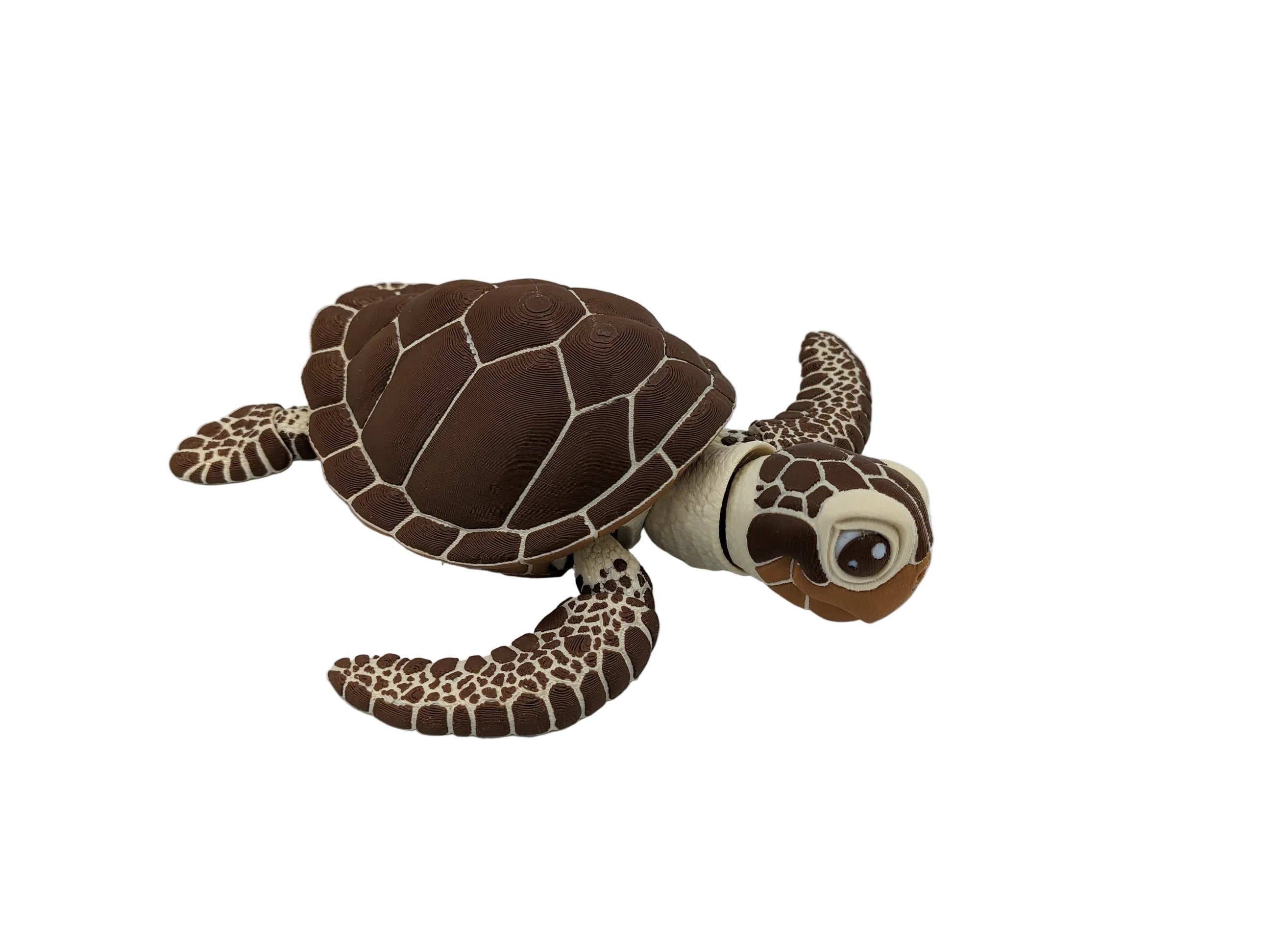 Articulated Sea Turtle