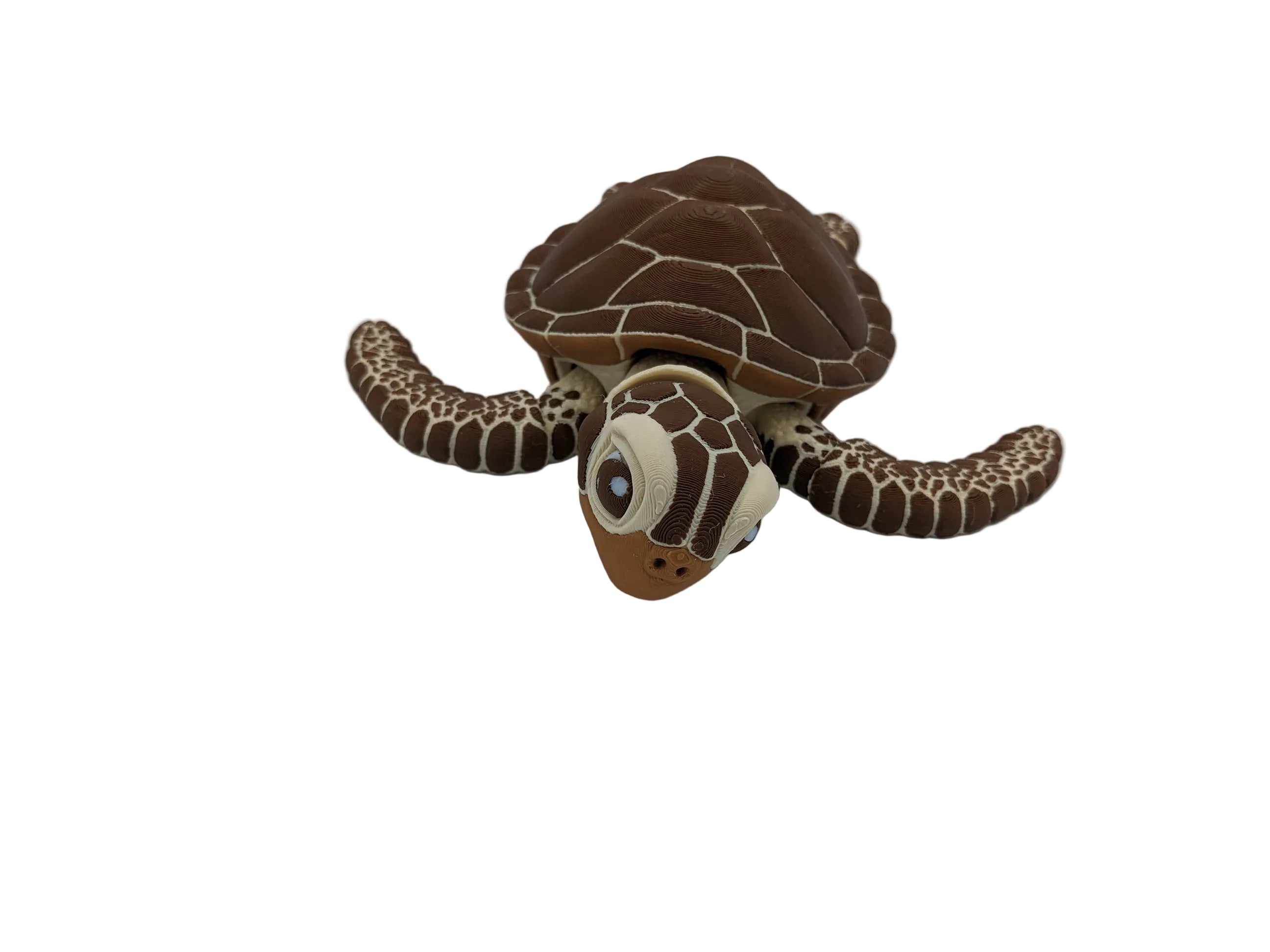 Articulated Sea Turtle