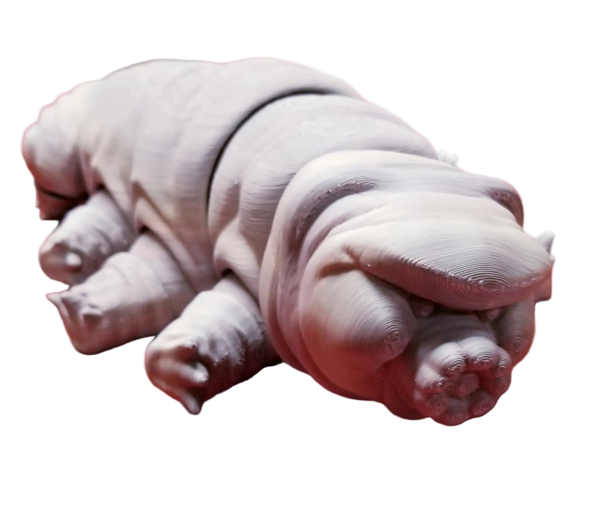 Articulated Tardigrade