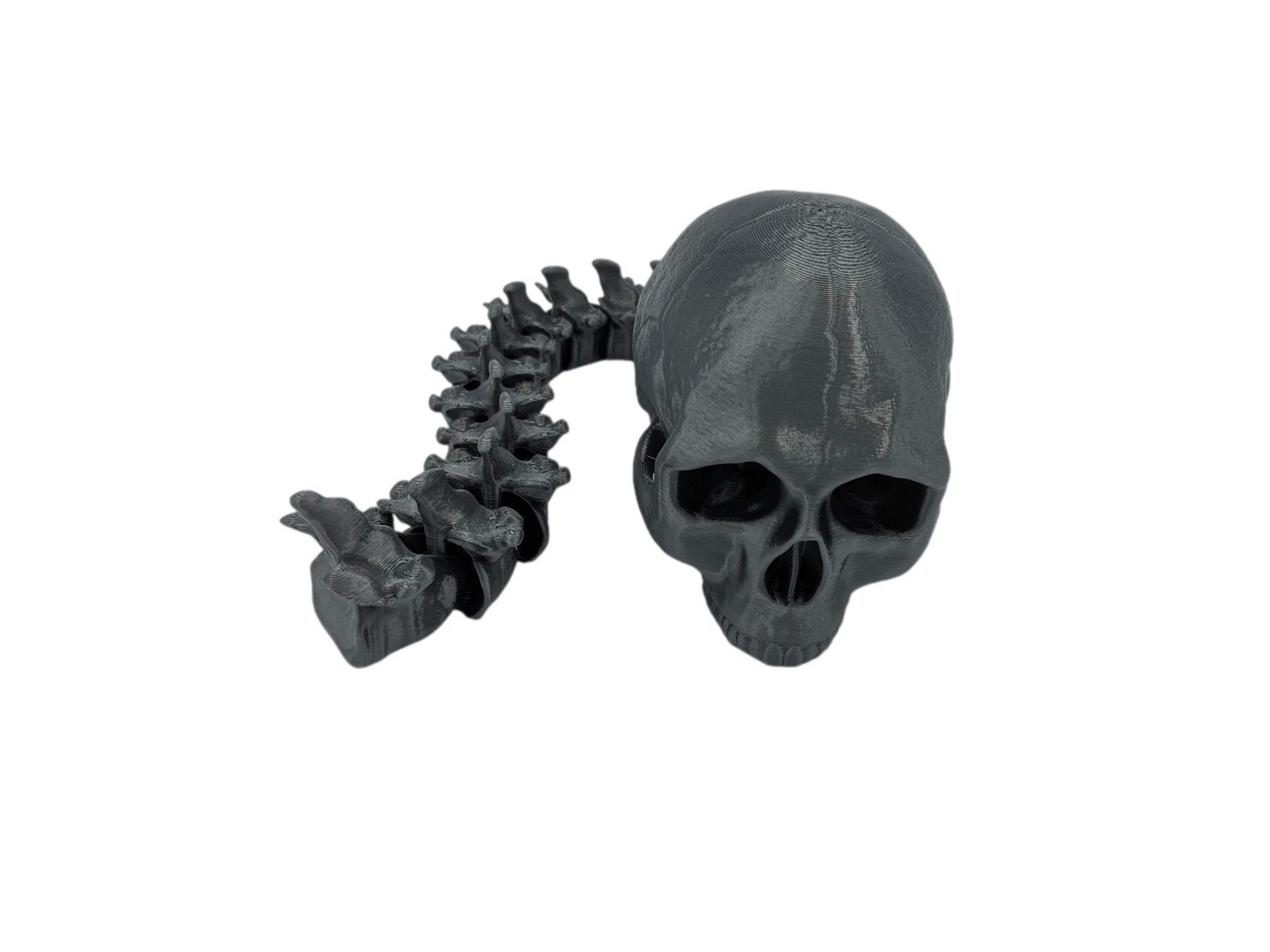 Predator Skull