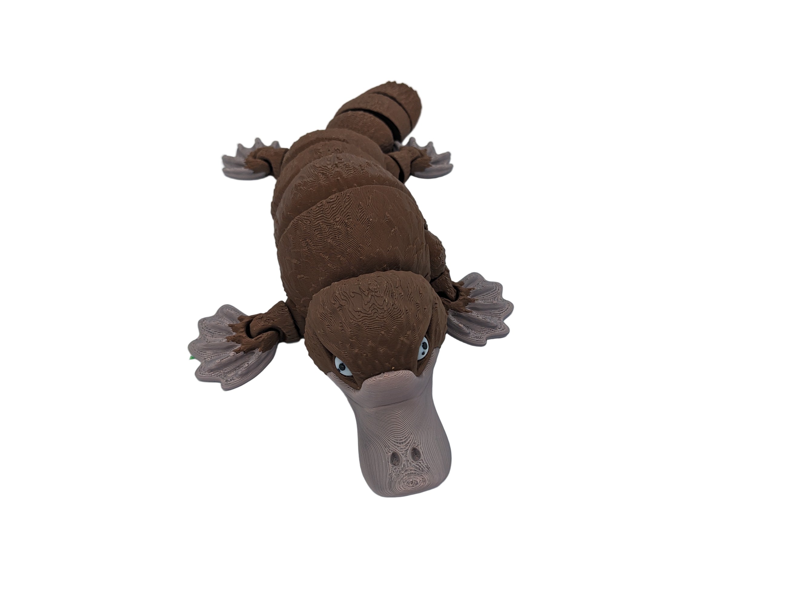 Articulated Platypus