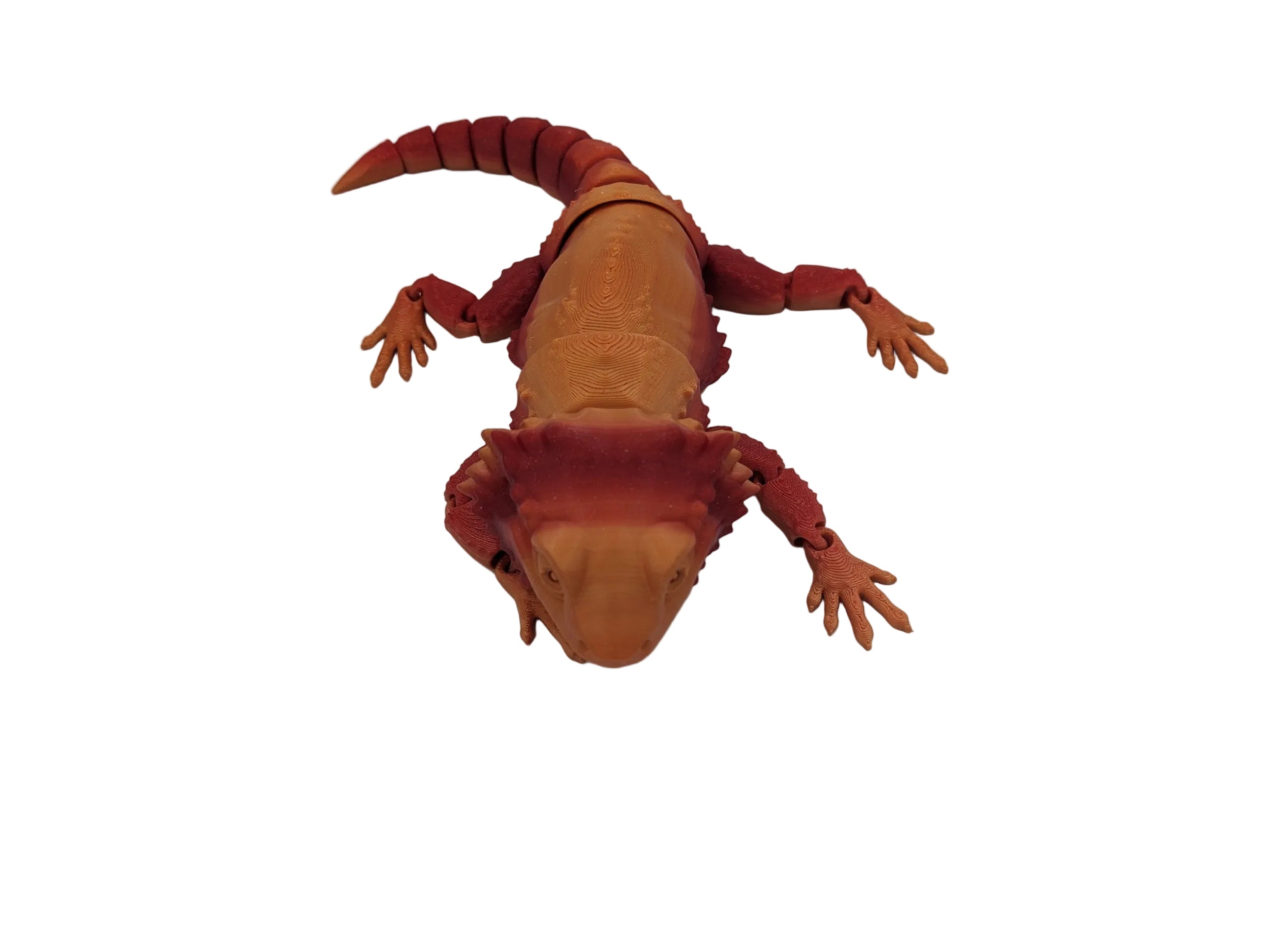 Articulated Bearded Dragon