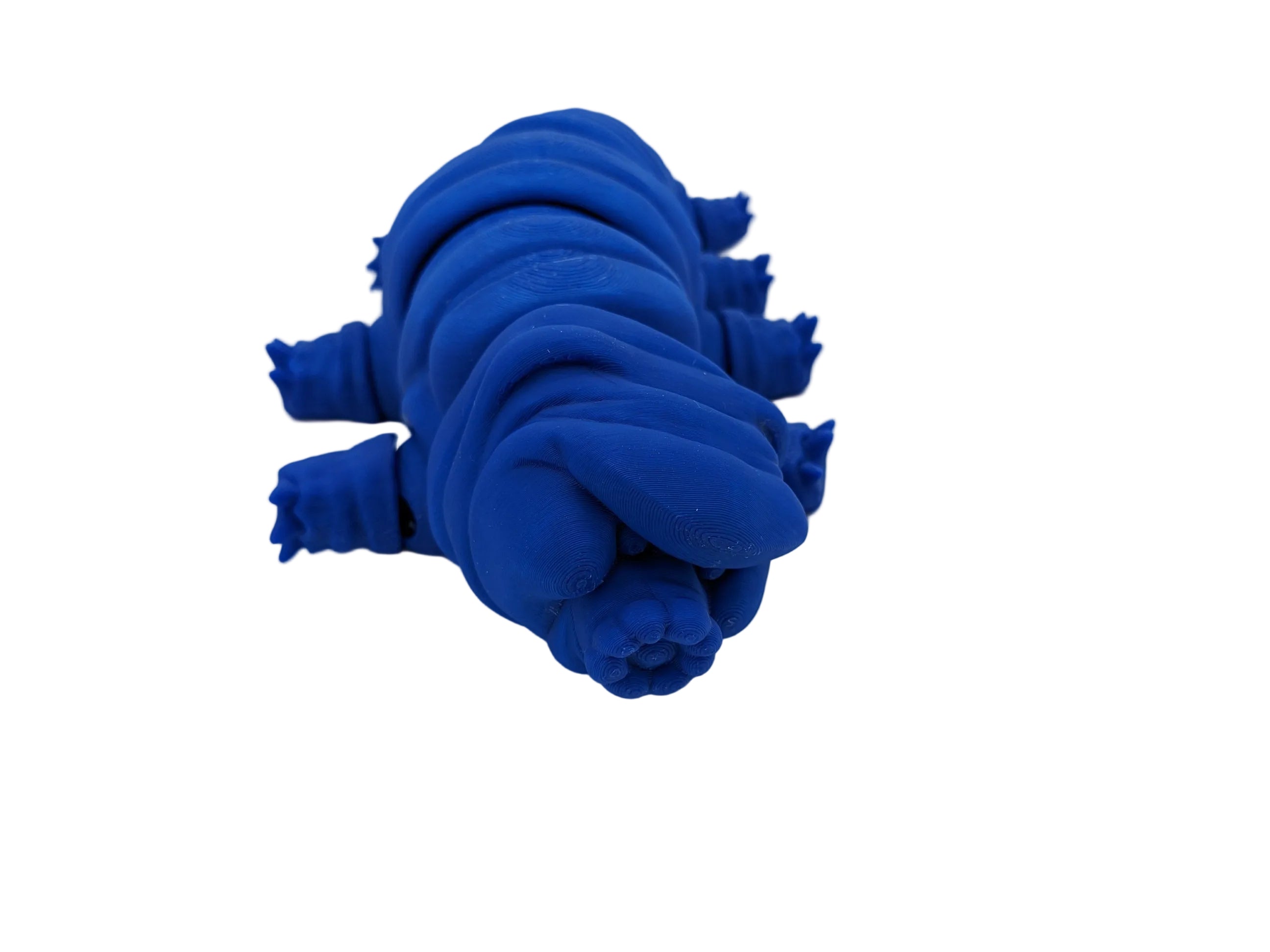 Articulated Tardigrade