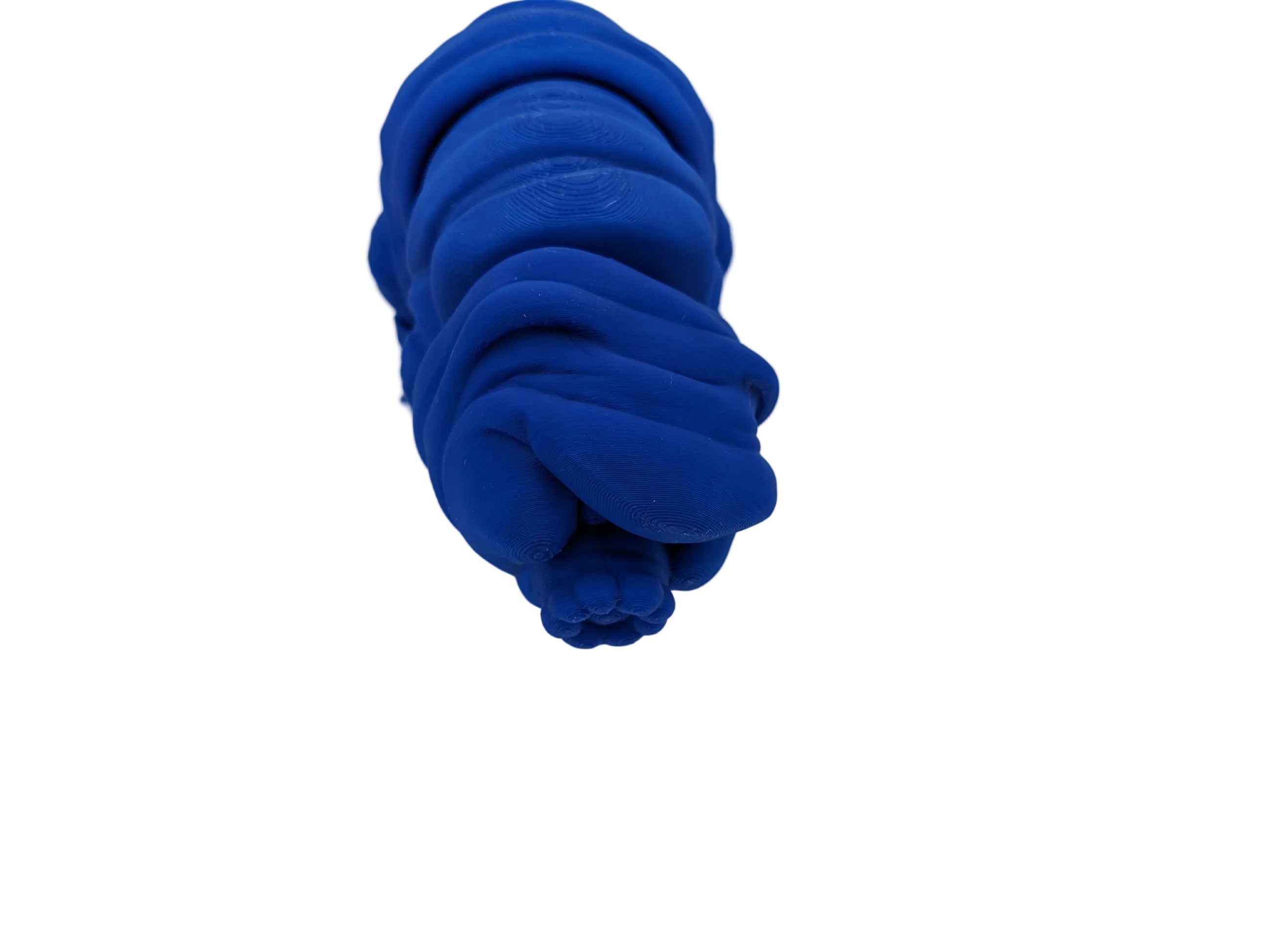 Articulated Tardigrade