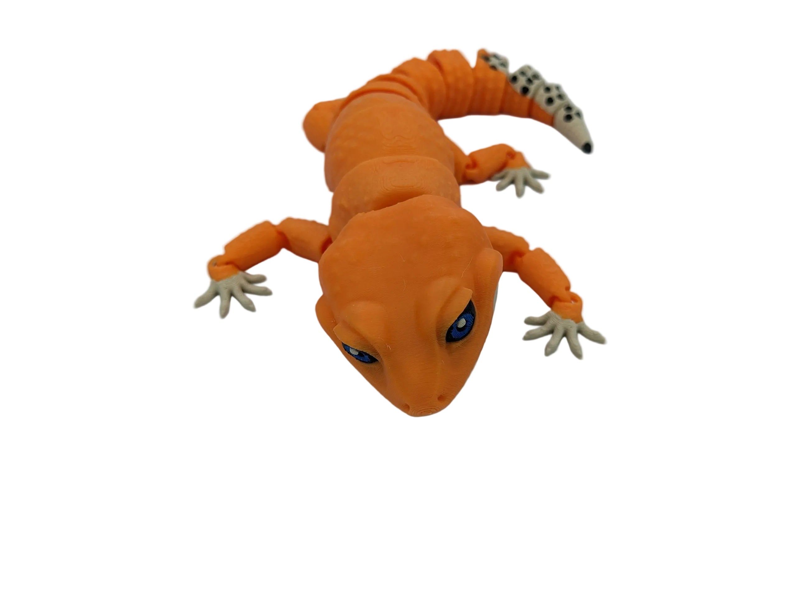 Articulated Leopard Gecko