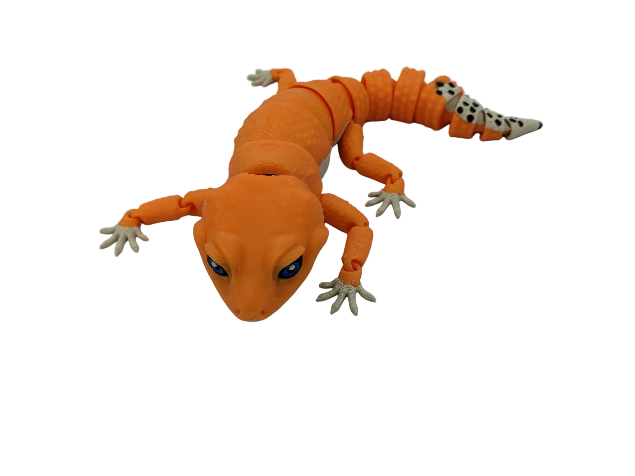 Articulated Leopard Gecko