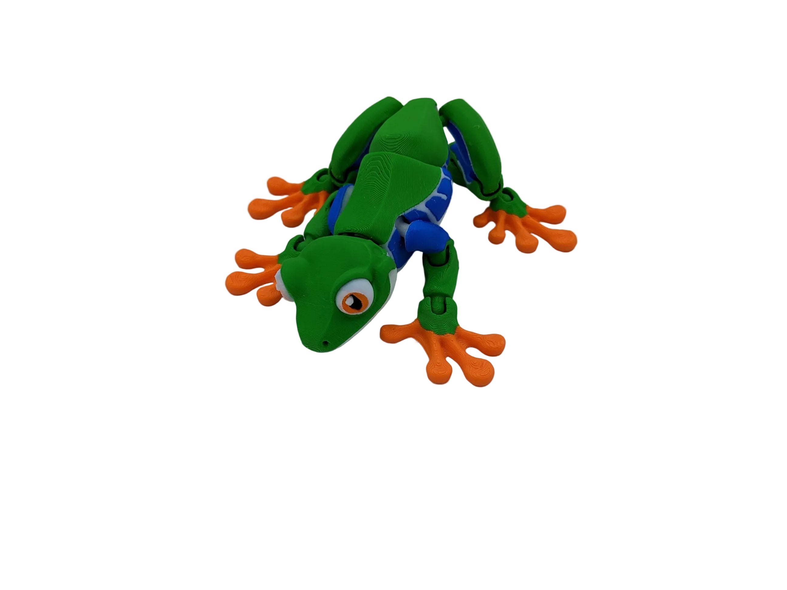 Articulated Tree Frog