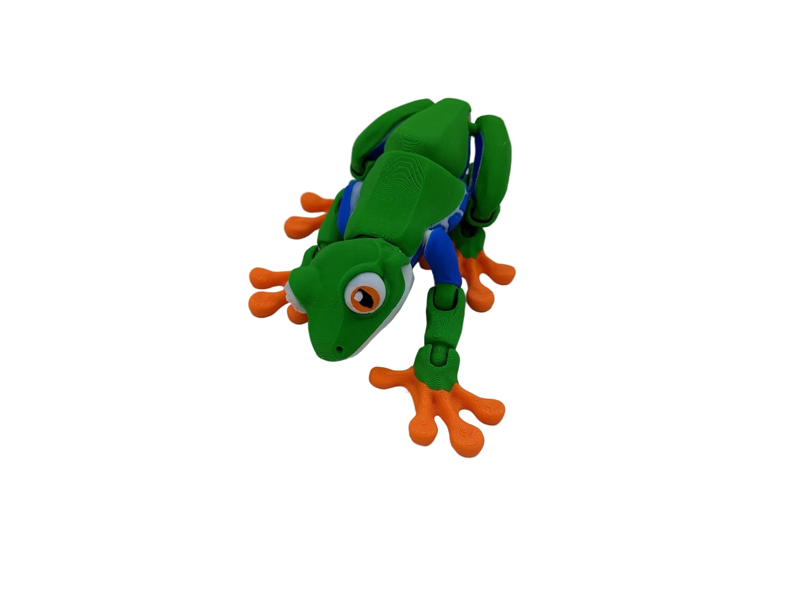 Articulated Tree Frog