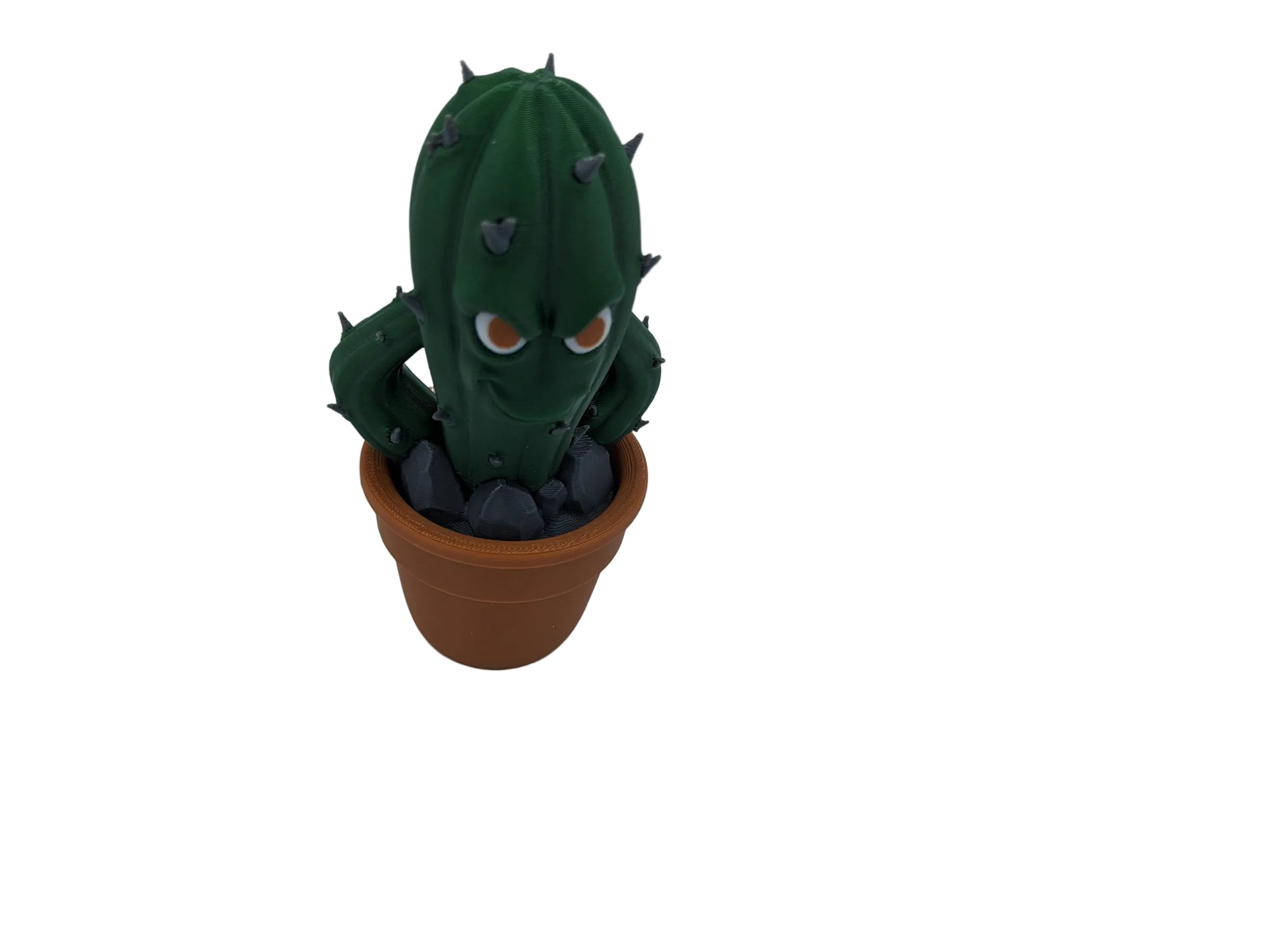 Prickly Punk Gang- Cactus