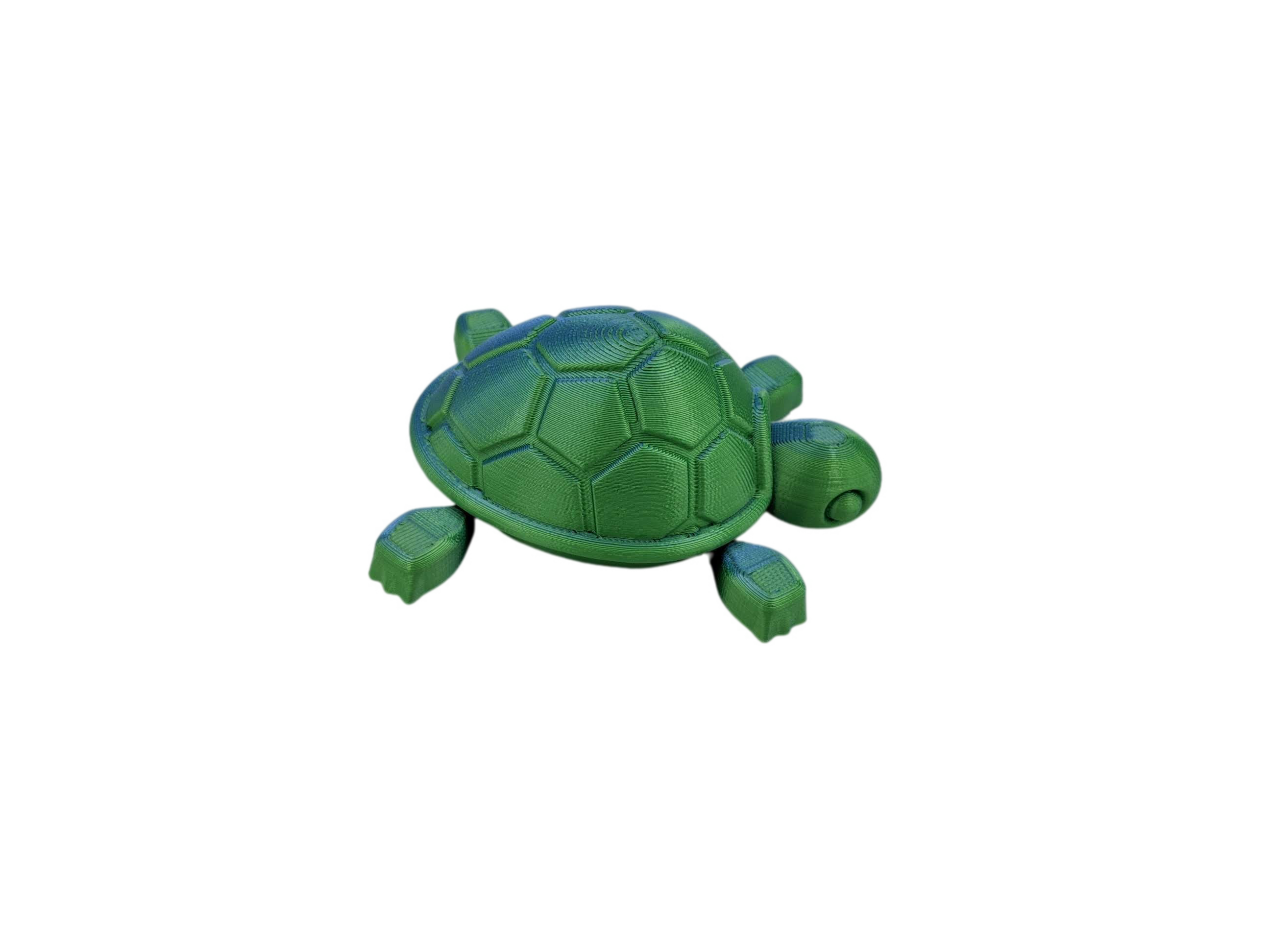 Articulated Turtle