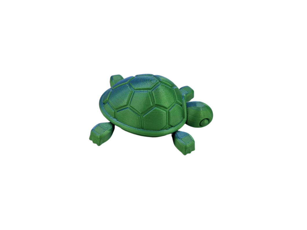 Articulated Turtle