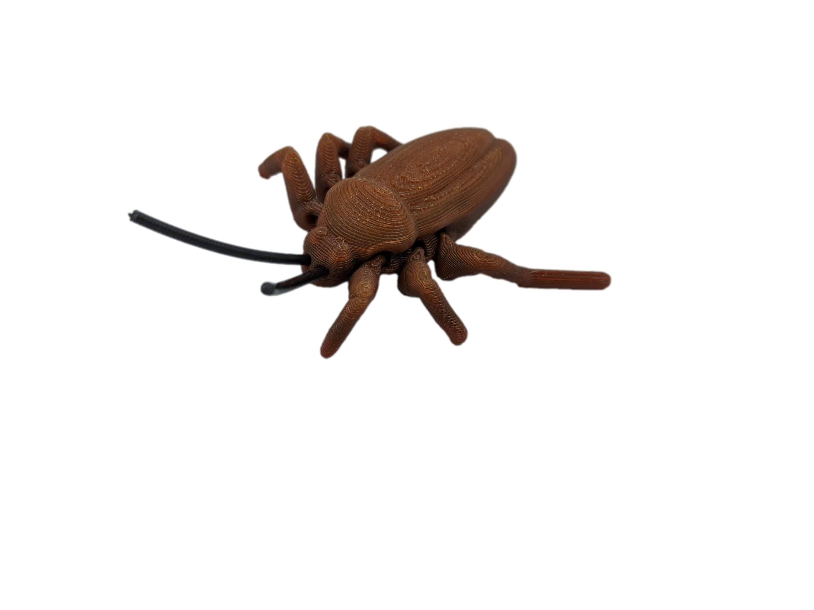 Articulated Cockroach