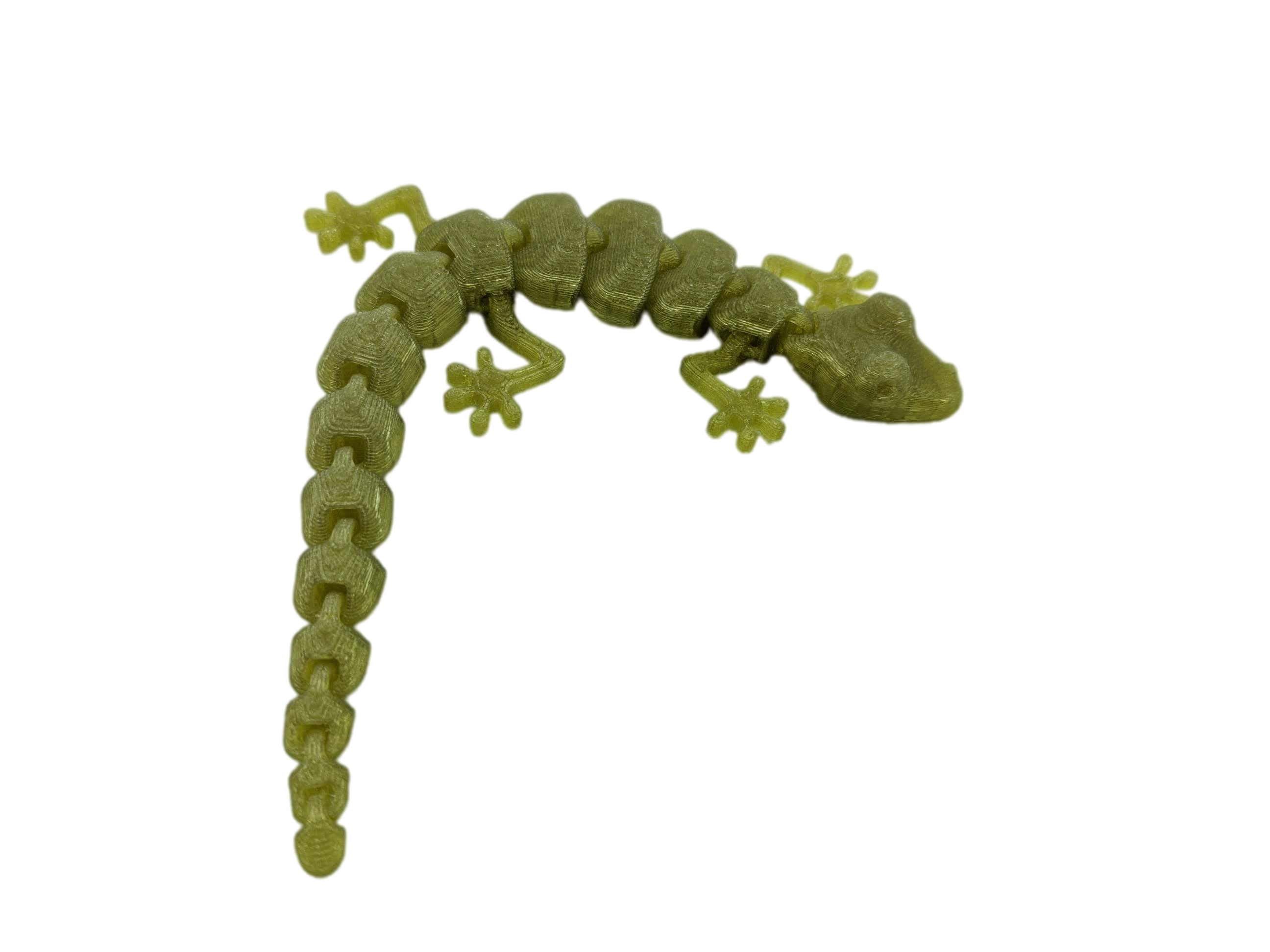 Articulated Lizard Articulated Lizard